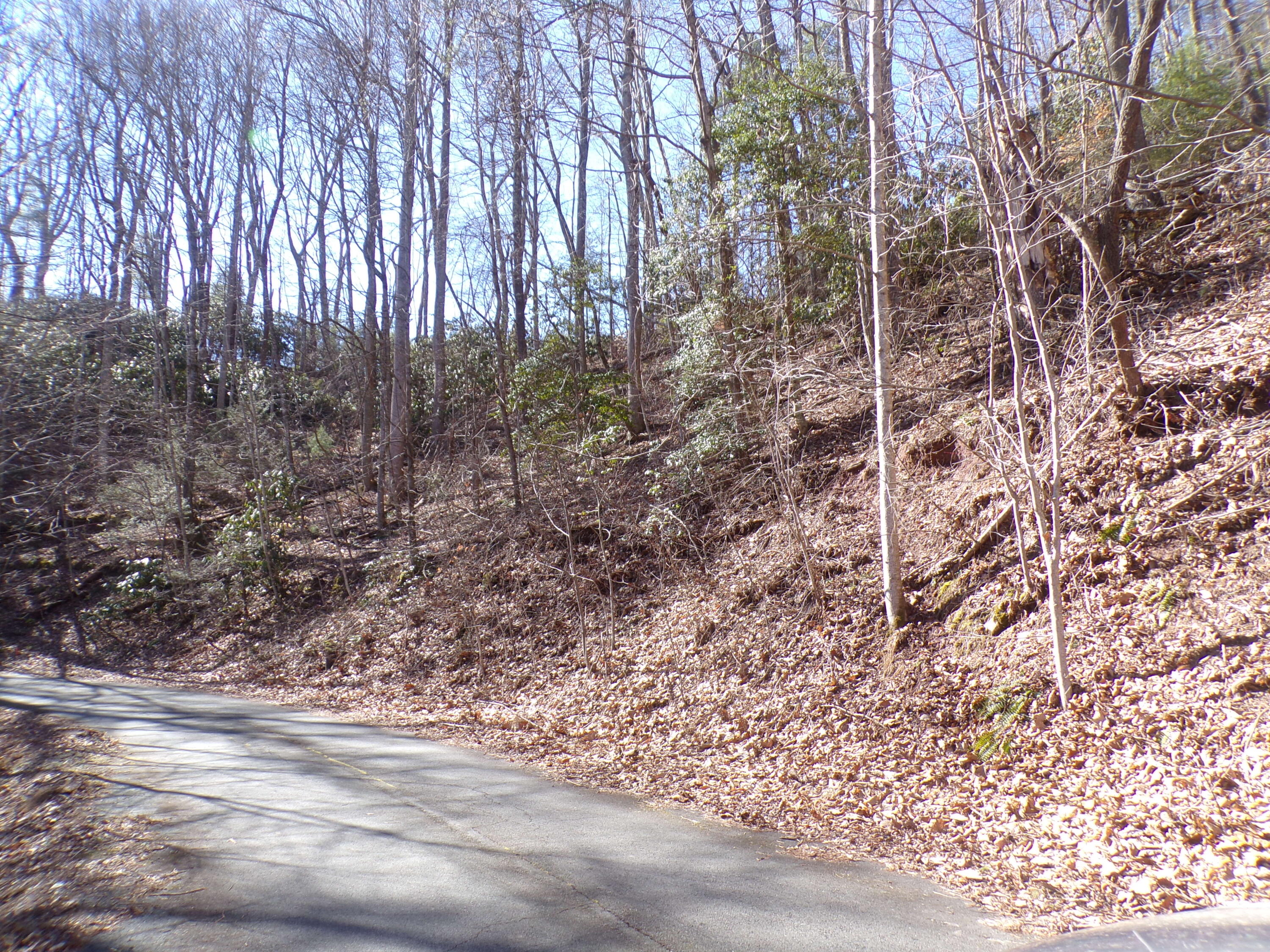 Tbd Banjo Ridge Road, Unit 3 Butler, TN 37640 - Photo 2 of 5 103_6717