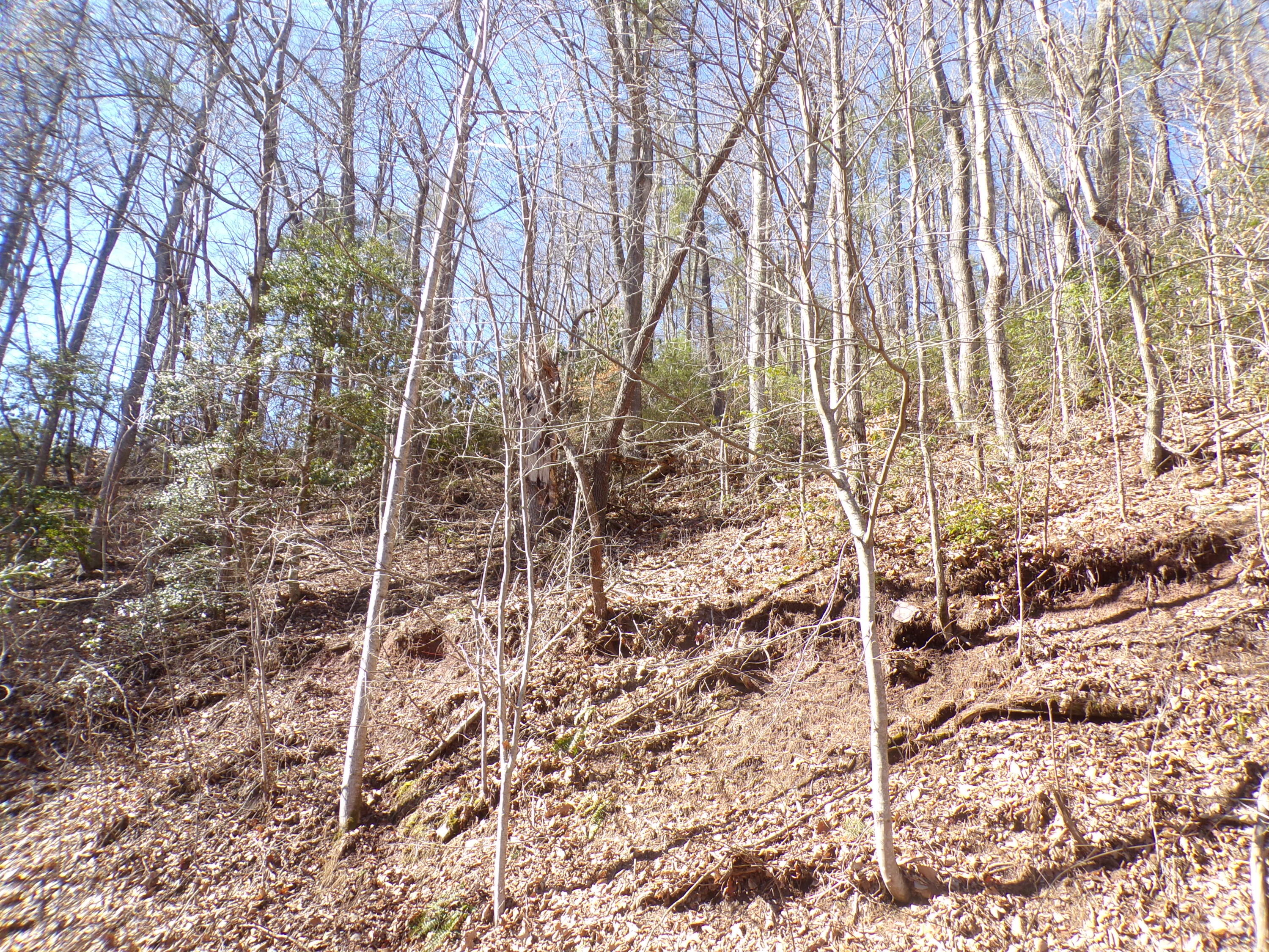 Tbd Banjo Ridge Road, Unit 3 Butler, TN 37640 - Photo 3 of 5 103_6716