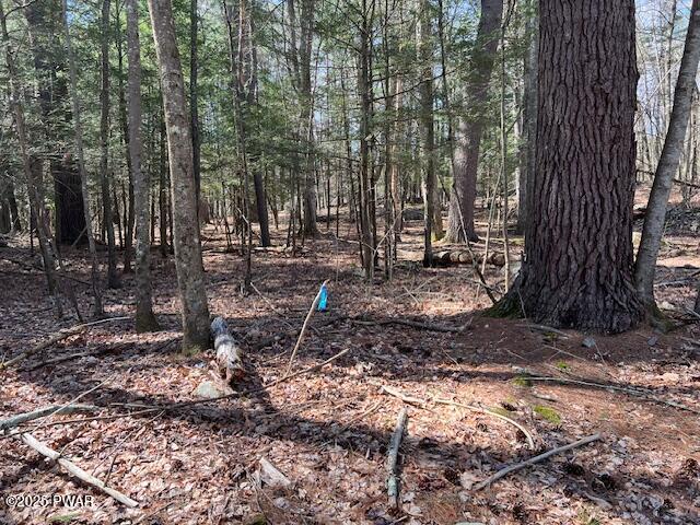 241 Lcpl Jacob Beisel Road Lackawaxen, PA 18435 - Photo 33 of 78 Perc spot