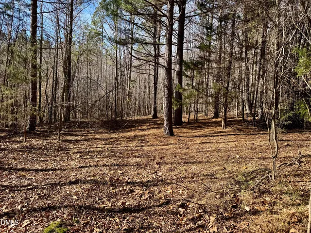a view of outdoor space with trees
