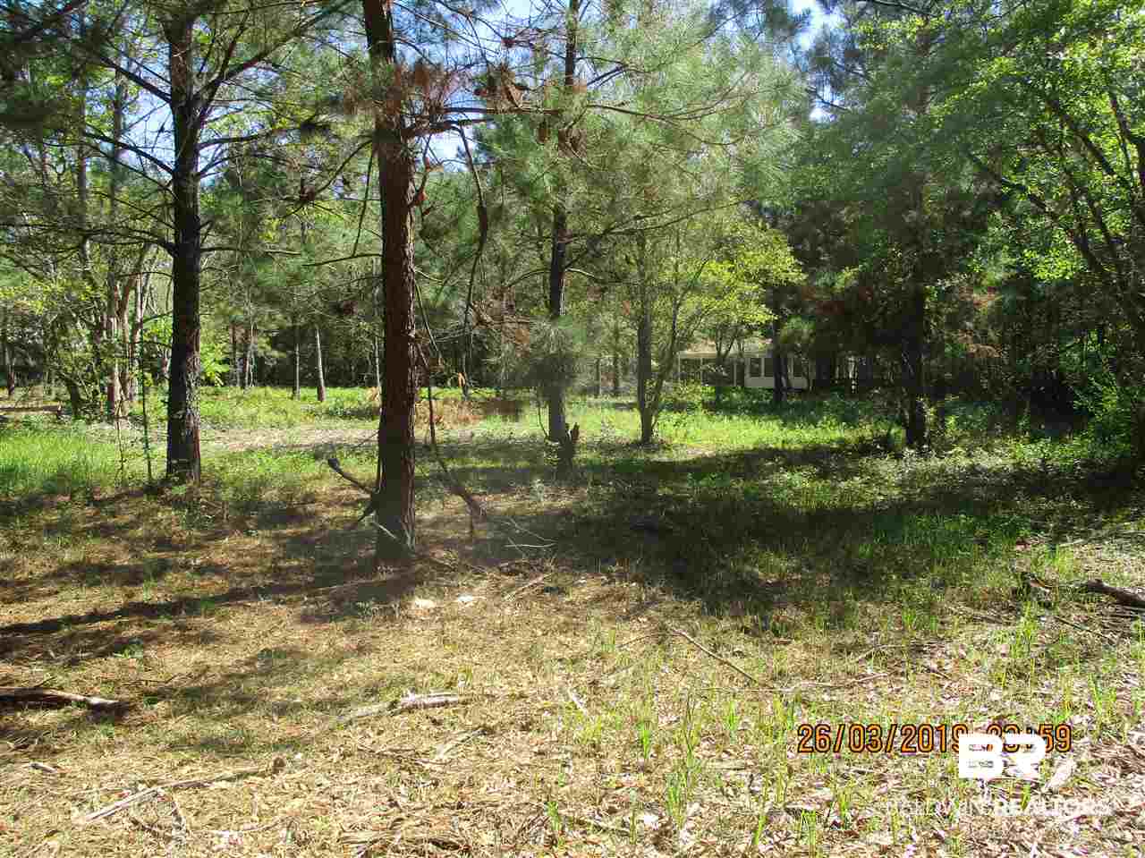 9889 Mosley Road Fairhope, AL 36532 - Photo 6 of 17