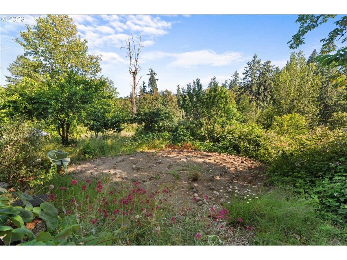 772 Division Street Oregon City, OR 97045 - Photo 43 of 47 a view of a yard with a tree