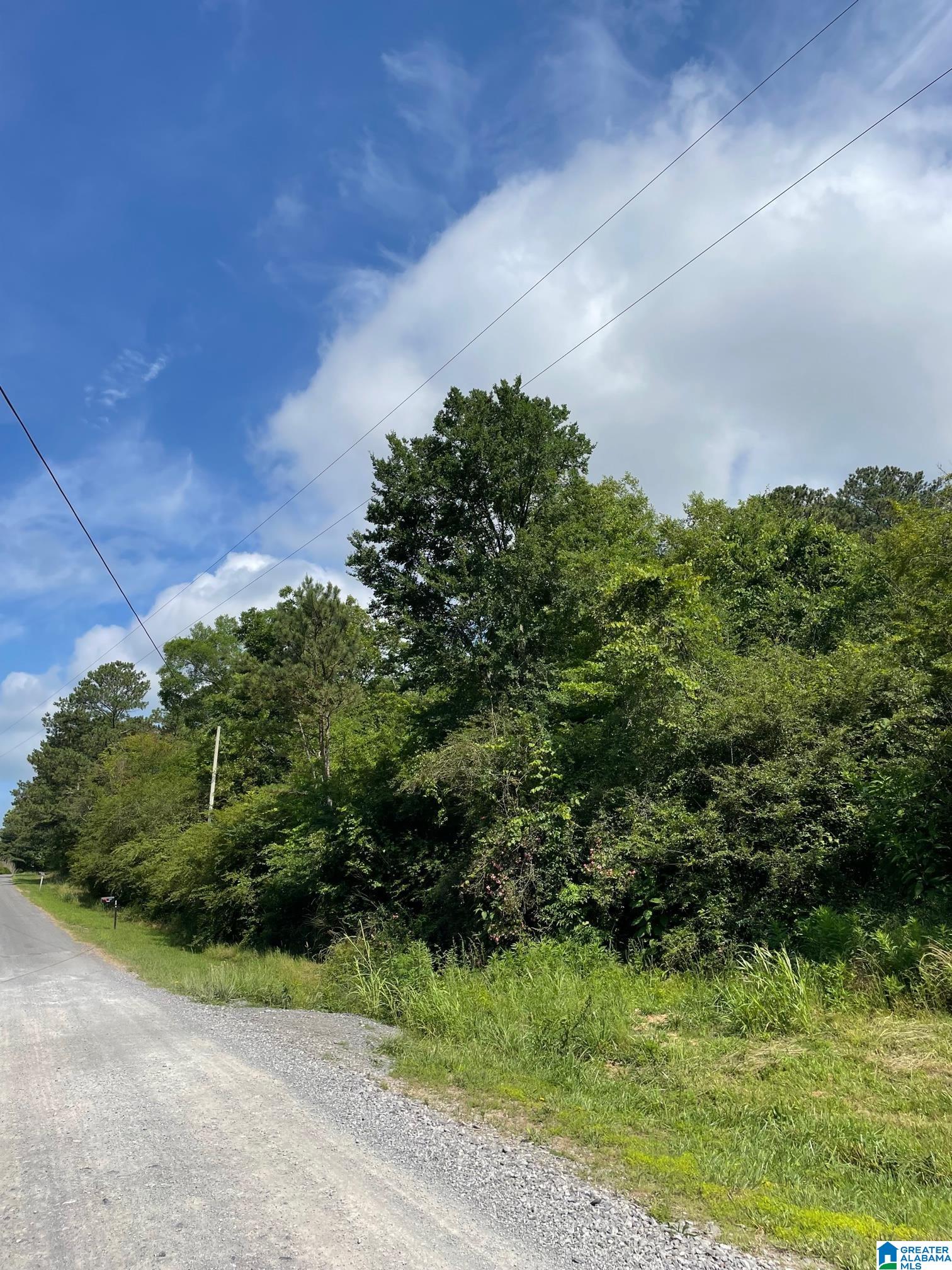 0 Little Road Blountsville, AL 35031 - Photo 2 of 2