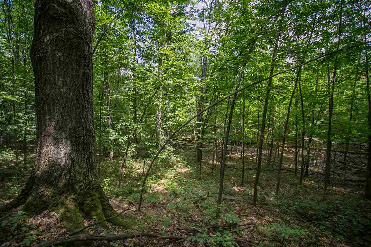 1063 Tranquil Point Road Traverse City, MI 49696 - Photo 10 of 30 1811067-9.JPG