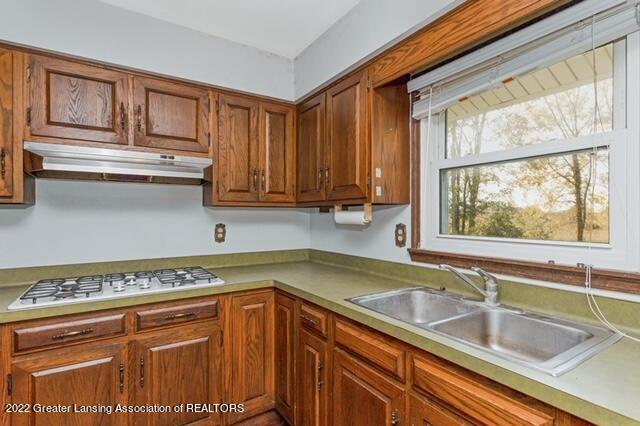 7514 Bowerman Road Horton, MI 49246 - Photo 14 of 29 image13