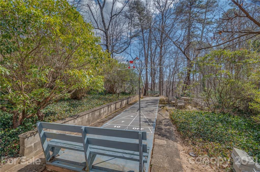 172 Wilderness Road Tryon, NC 28782 - Photo 37 of 46