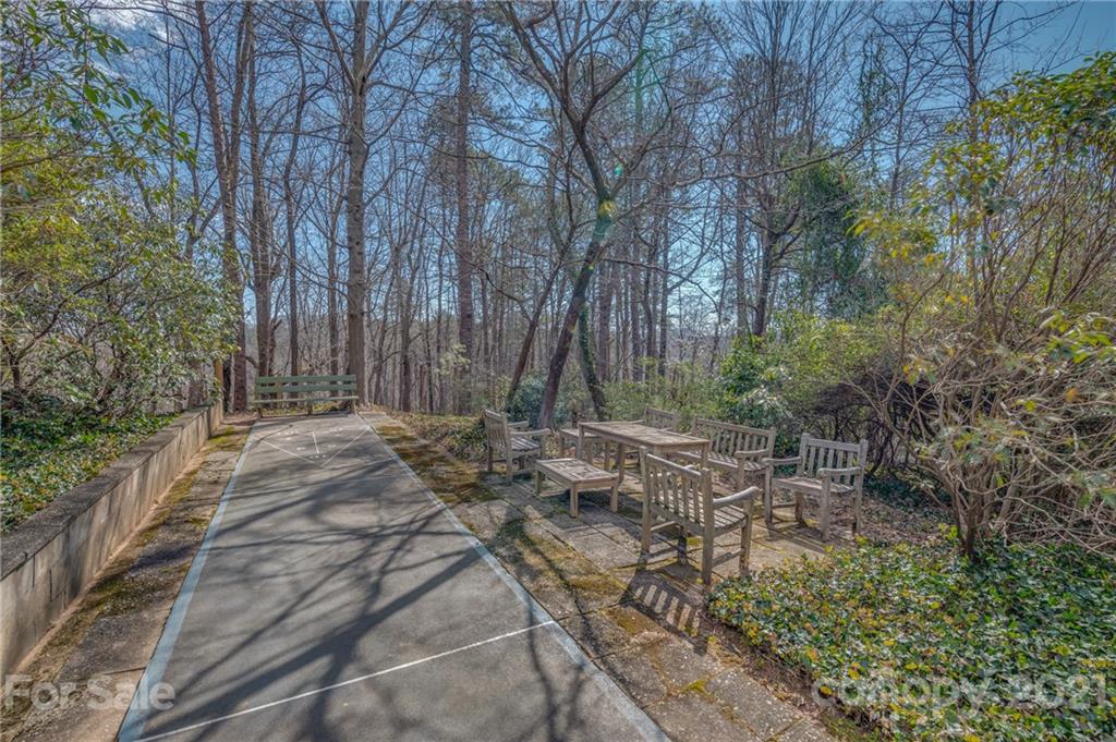 172 Wilderness Road Tryon, NC 28782 - Photo 38 of 46 a backyard of a house with lots of green space