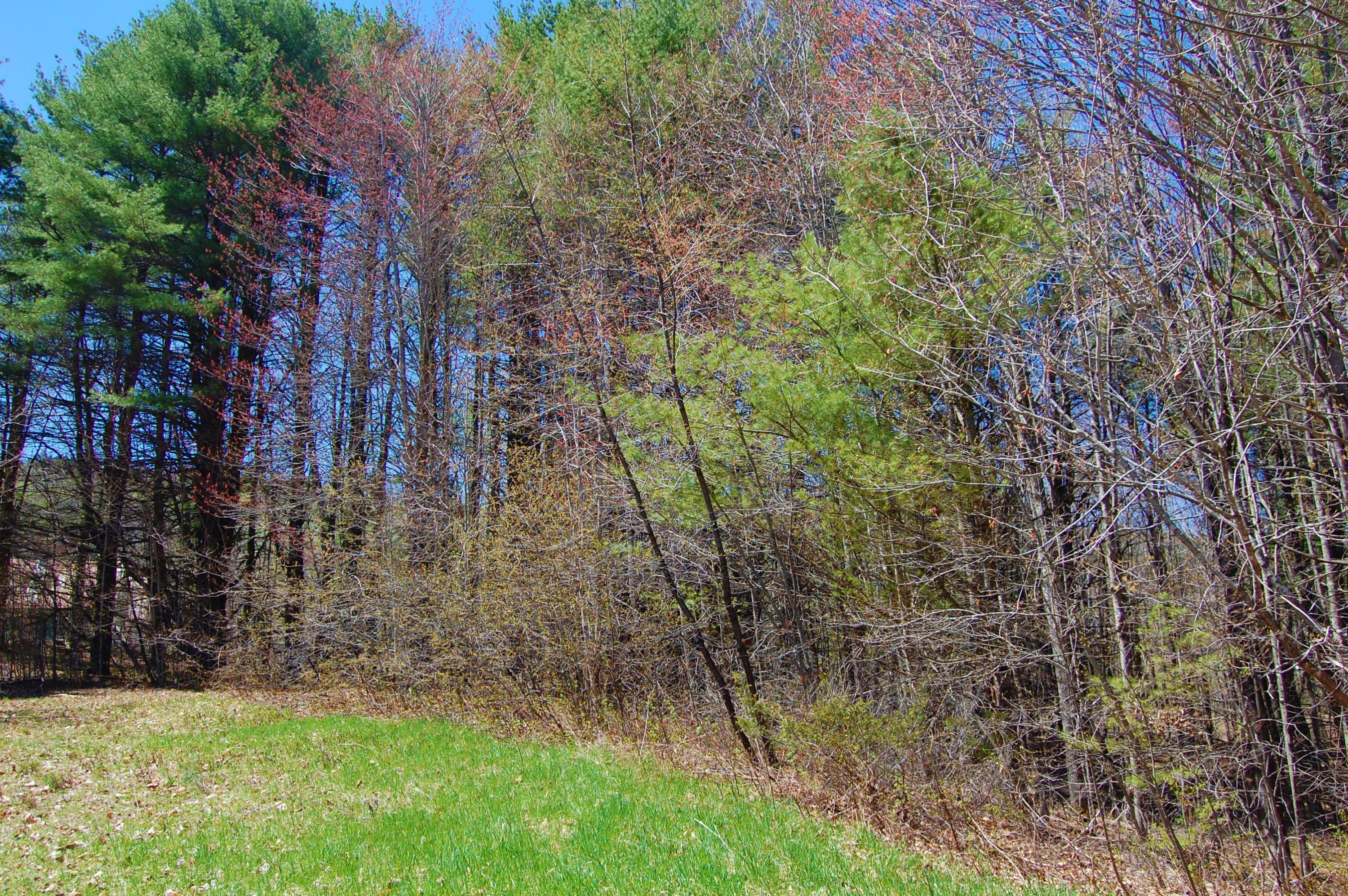 0 Rome Road Mercer, ME 04957 - Photo 5 of 20 Mercer1