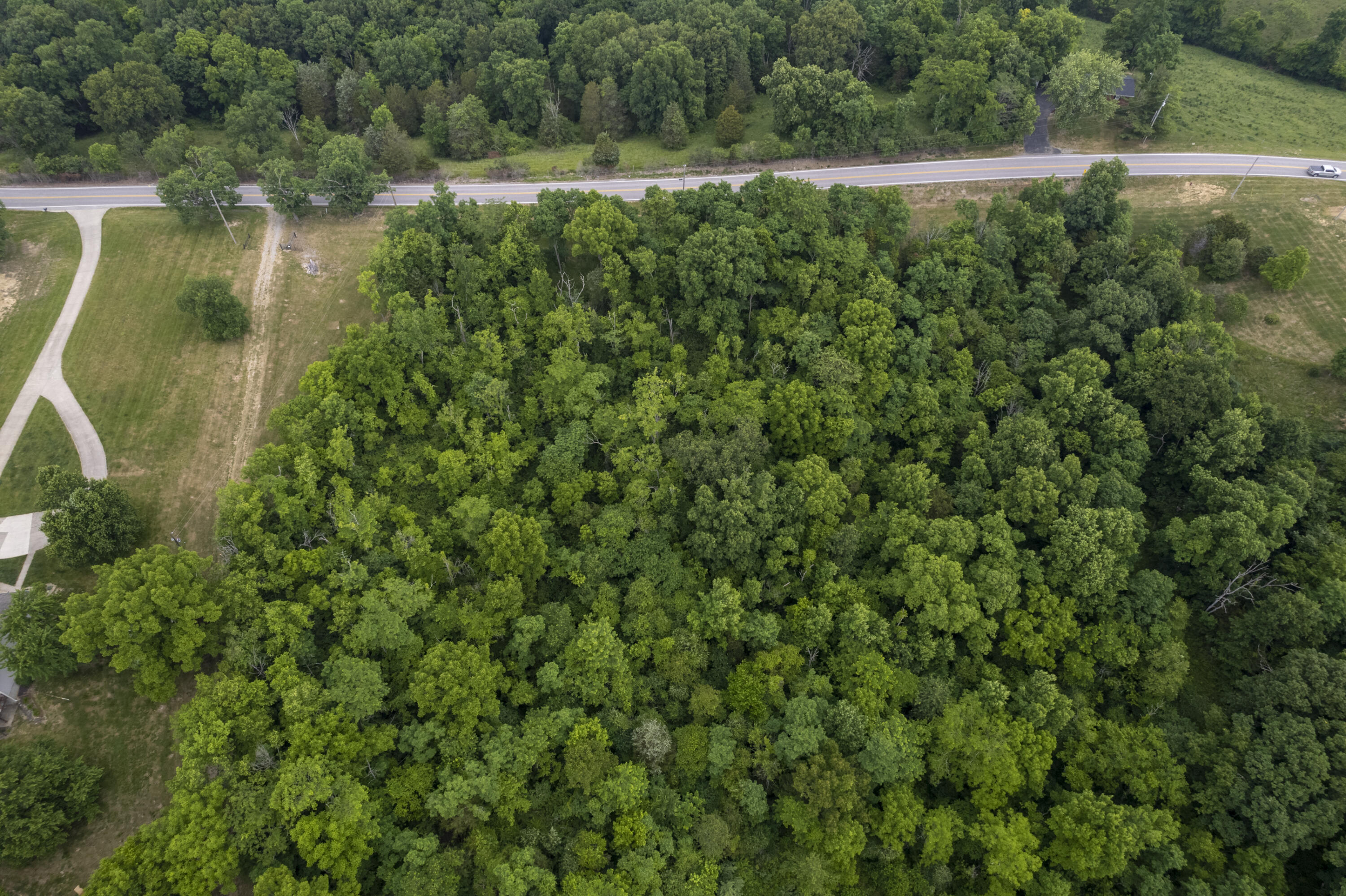 1100 Fairview Road Williamstown, KY 41097 - Photo 17 of 74 Falmouth-15
