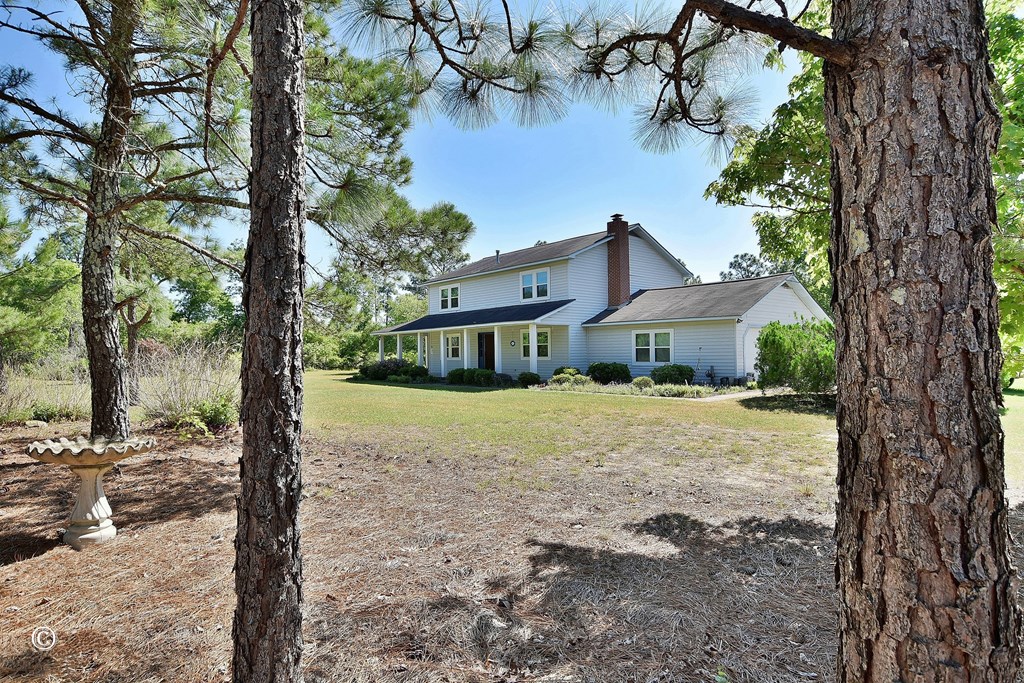 1169 Pineknot Road Box Springs, GA 31801 - Photo 3 of 33 Gallery Image 3
