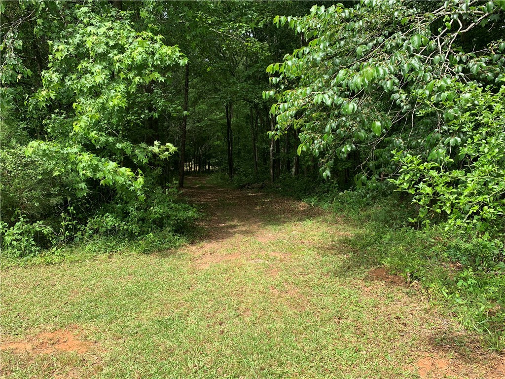 136 Winfred Brock Road Iva, SC 29655 - Photo 40 of 50