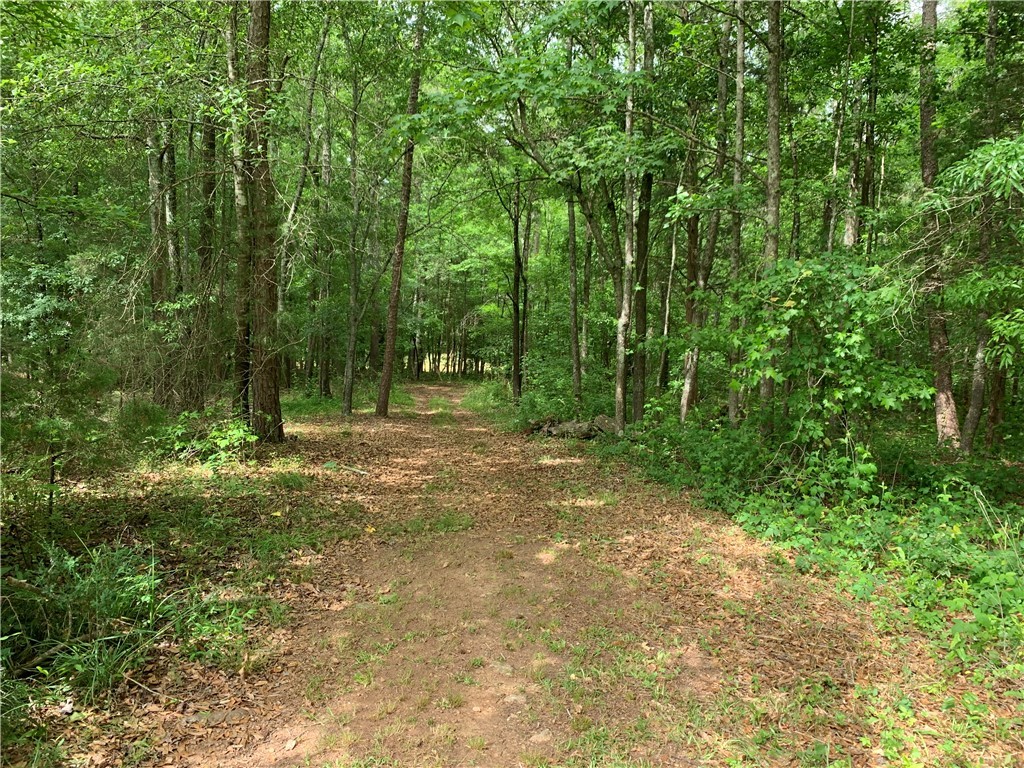 136 Winfred Brock Road Iva, SC 29655 - Photo 41 of 50