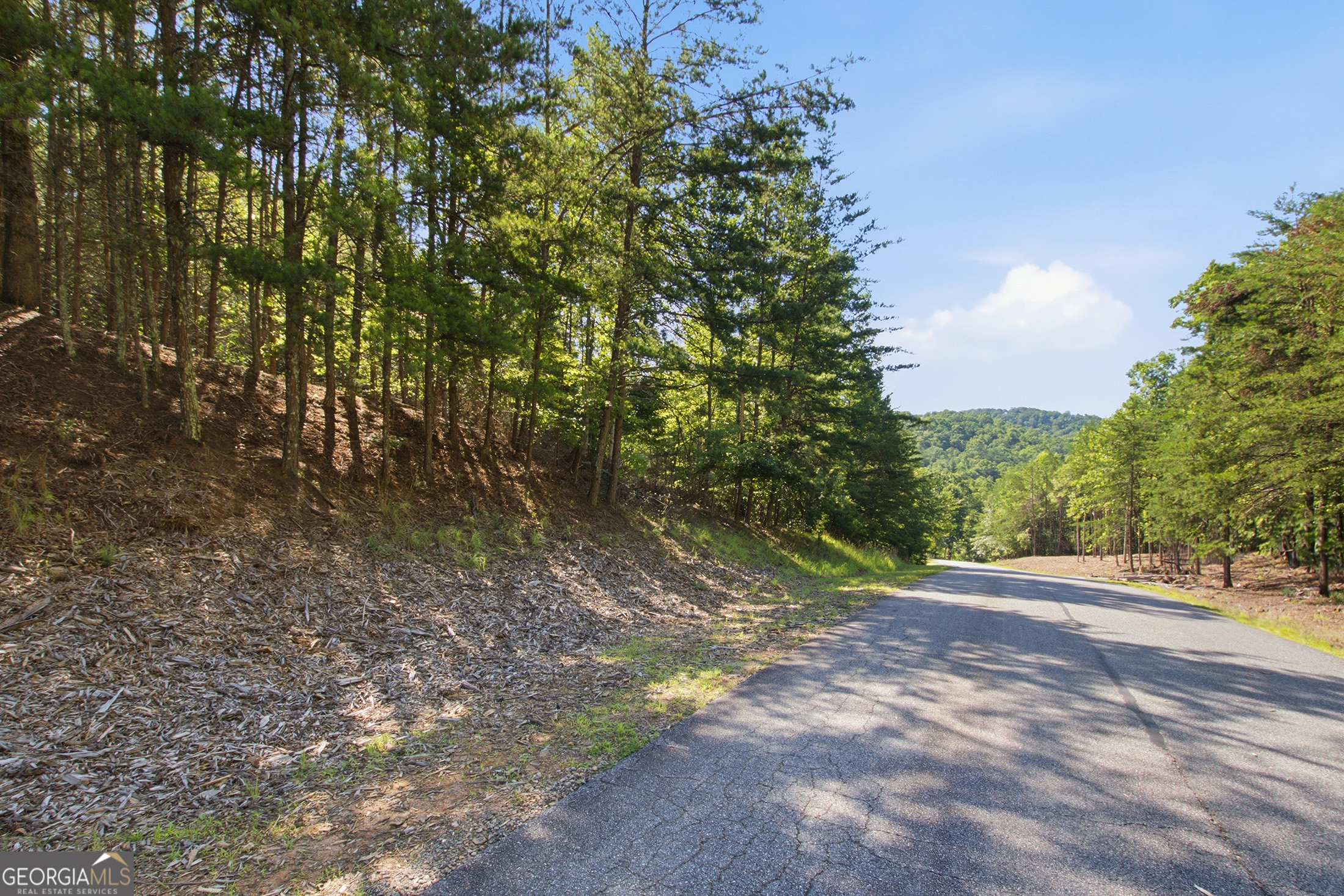 Lot 15 South Laceola Road Cleveland, GA 30528 - Photo 6 of 13