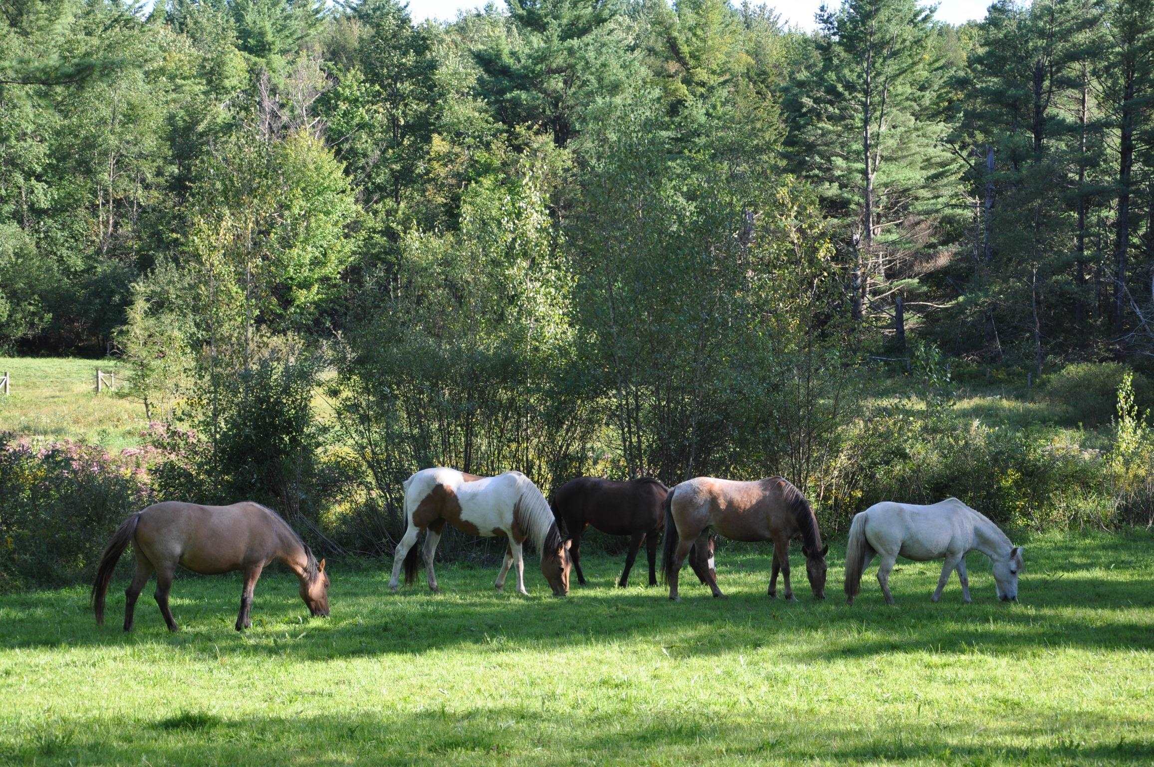 830 Taft Road Huntington, VT 05462 - Photo 56 of 60 Gallery Image 56