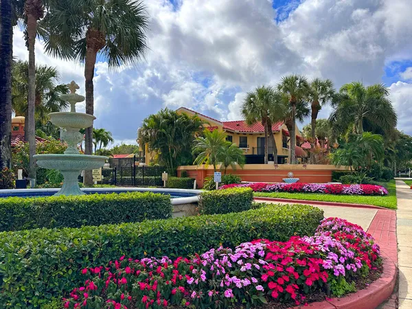 a view of a garden with flowers and plants