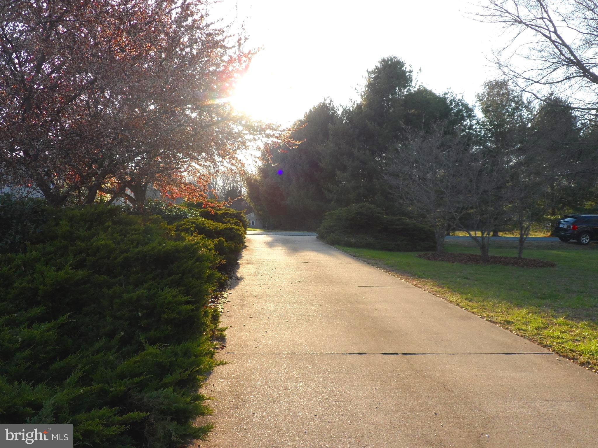7109 Stuart Road King George, VA 22485 - Photo 27 of 30 Concrete Driveway with Beautiful Landscaping!