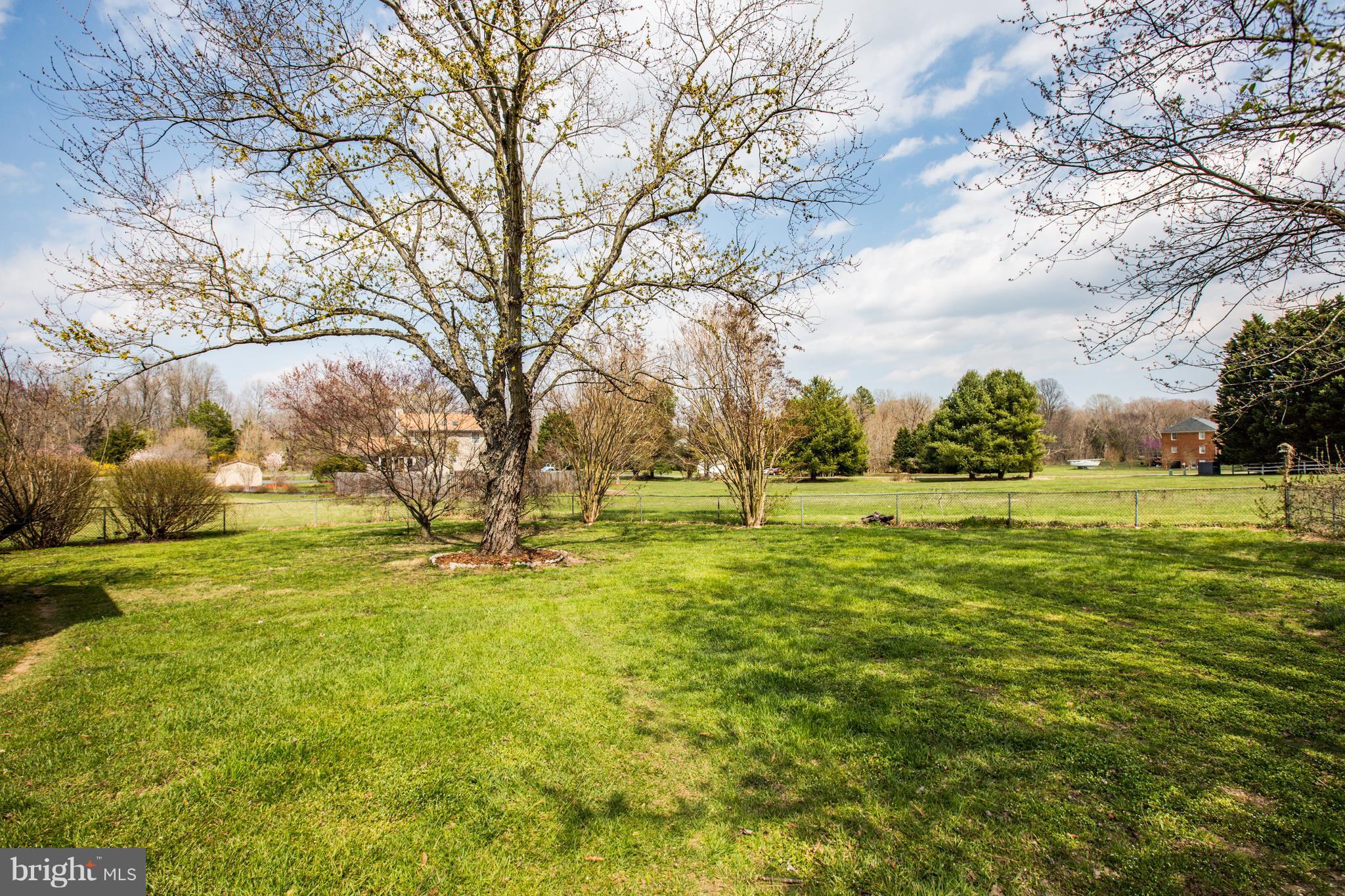 7109 Stuart Road King George, VA 22485 - Photo 28 of 30 The yard is just like your very own Park!