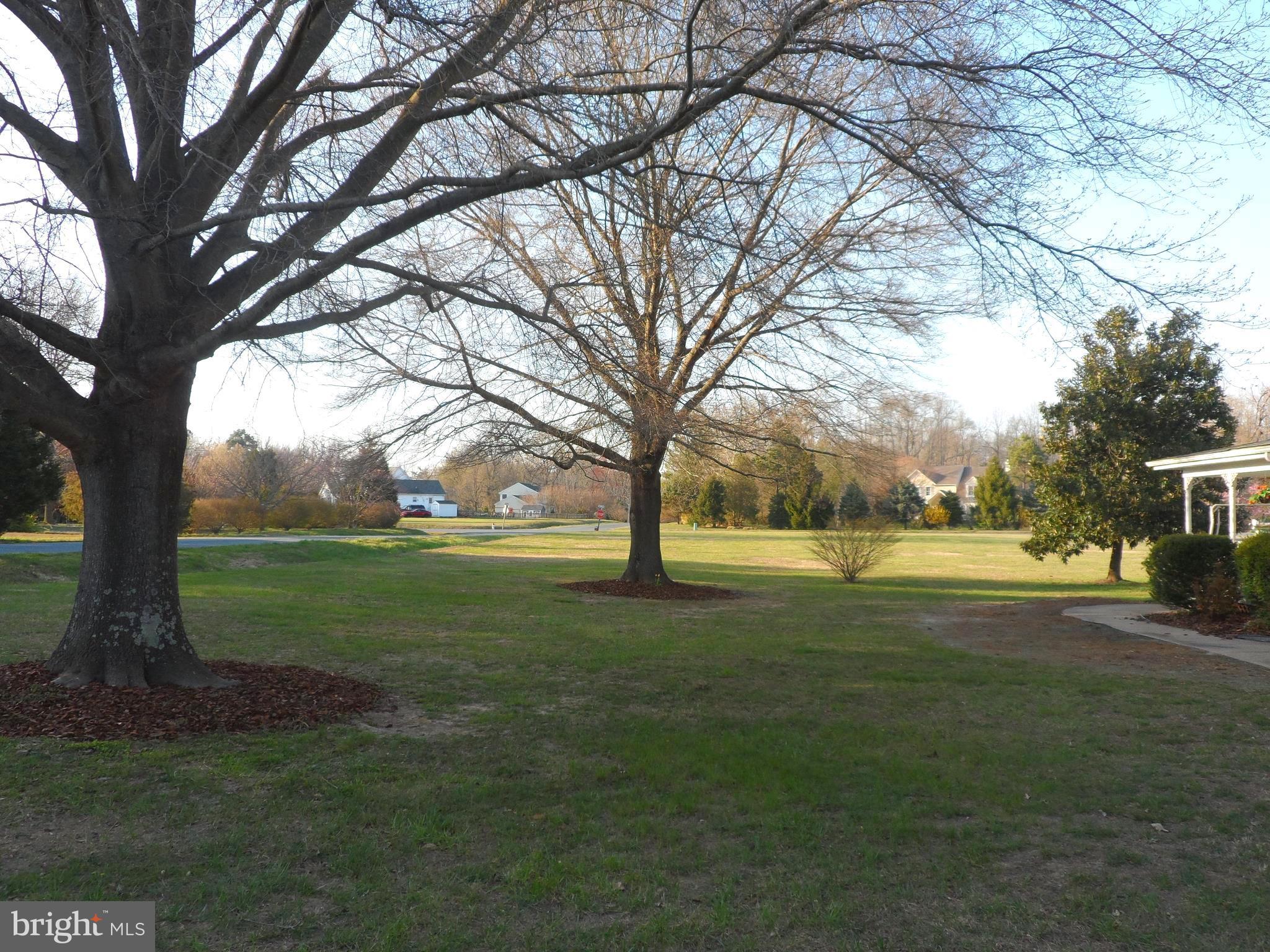 7109 Stuart Road King George, VA 22485 - Photo 4 of 30 Absolutely Gorgeous Lot with Mature Trees!