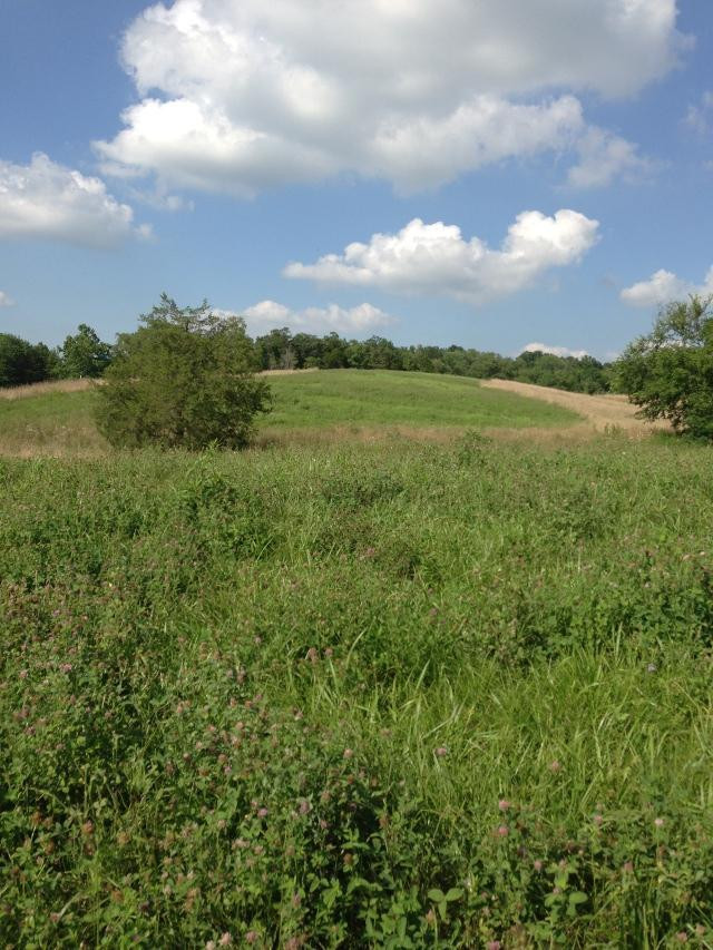 2 Old Richmond Road Paint Lick, KY 40461 - Photo 1 of 11 Photo 1