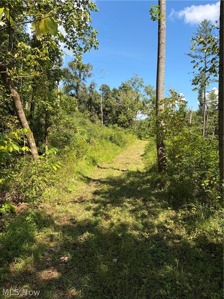 Crum Ridge Road Caldwell, OH 43724 - Photo 22 of 48 Gallery Image 22