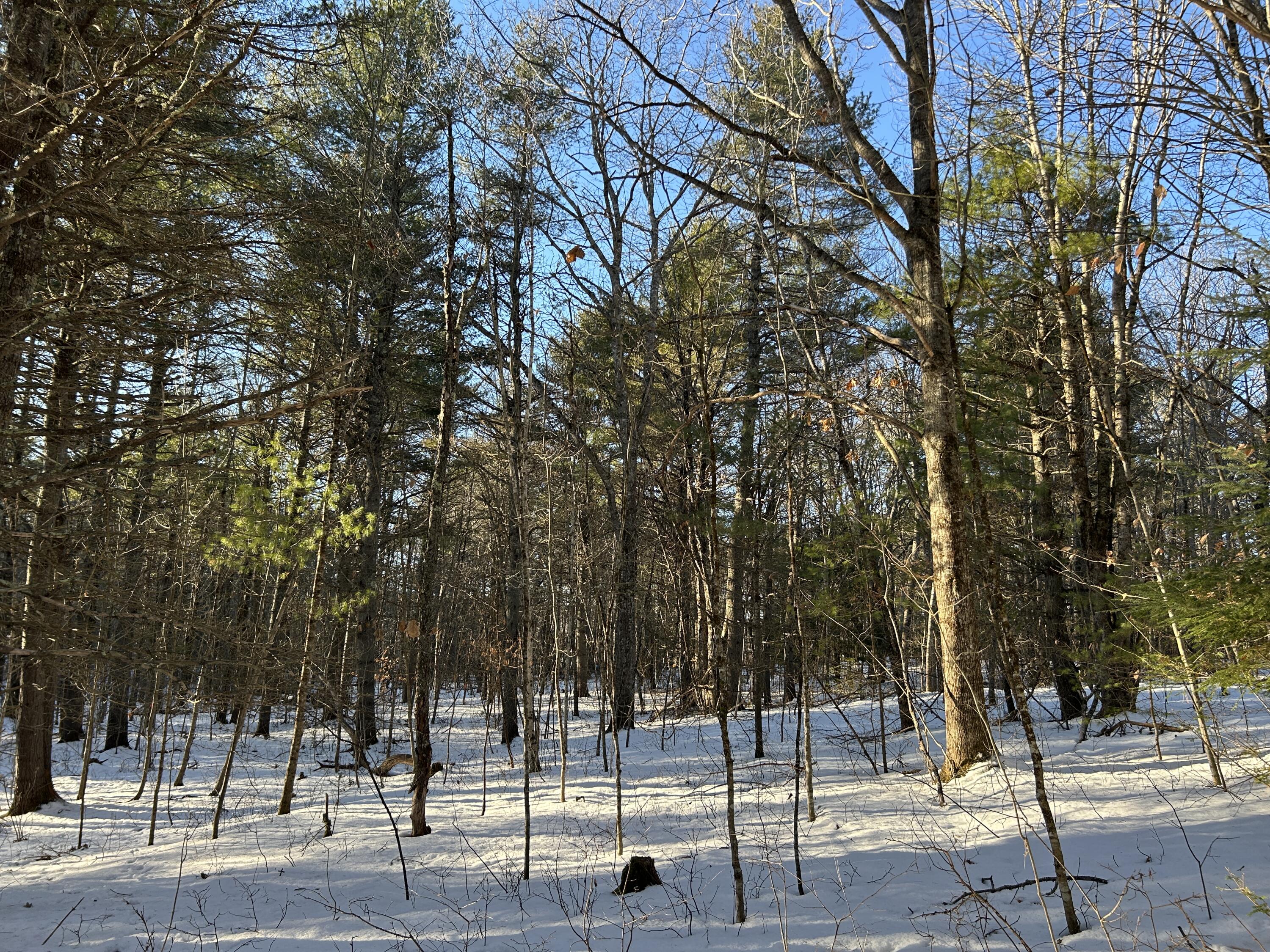 Lot 2 Blinn Hill Road Pittston, ME 04345 - Photo 11 of 20 IMG_6887