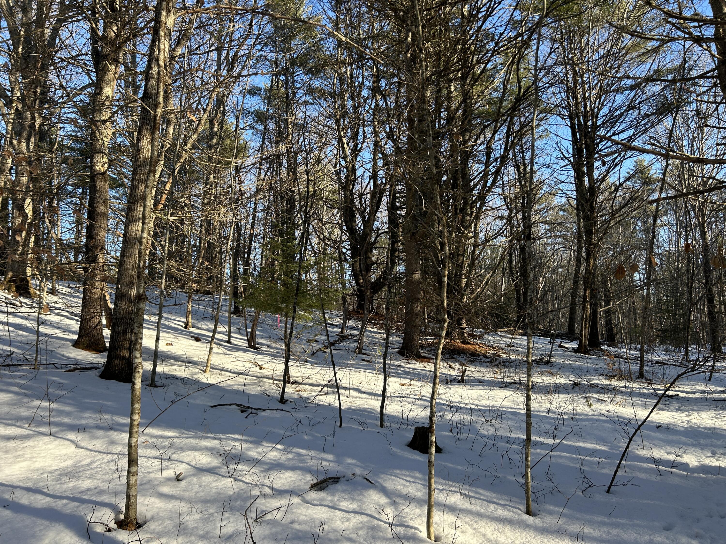 Lot 2 Blinn Hill Road Pittston, ME 04345 - Photo 12 of 20 IMG_6888