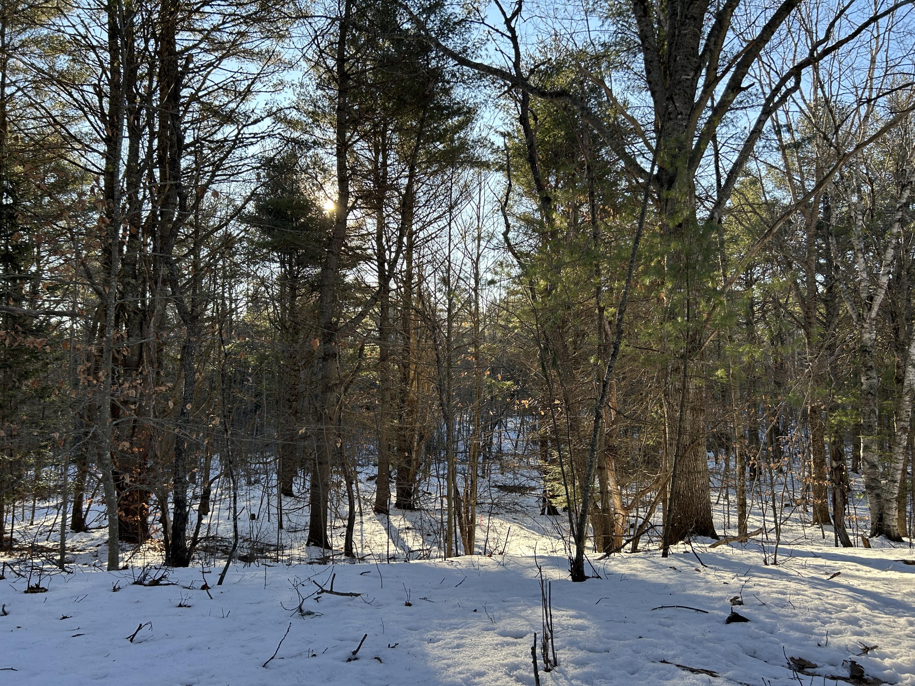 Lot 2 Blinn Hill Road Pittston, ME 04345 - Photo 7 of 20 IMG_6882