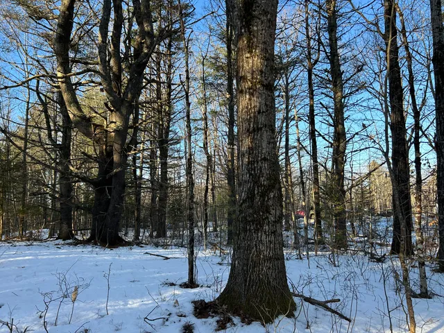 $47,900 | Lot 2 Blinn Hill Road, Pittston, ME 04345