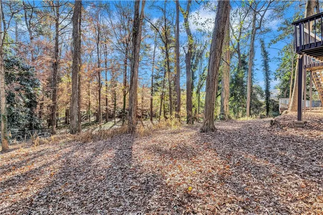 a view of forest with trees