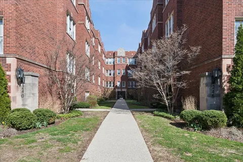 a park with view of tall buildings