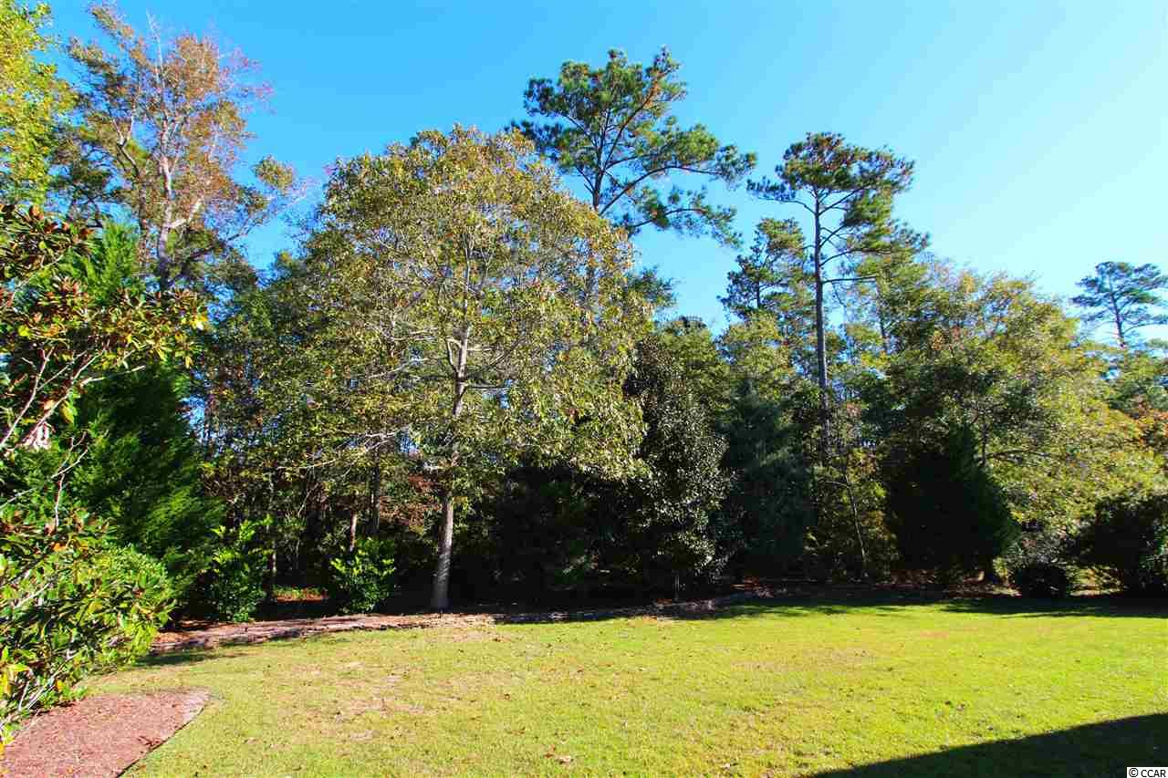 24 Bear Creek Loop Murrells Inlet, SC 29576 - Photo 21 of 25 Gallery Image 21