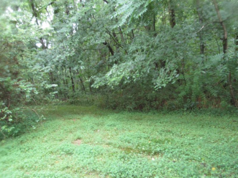 11.98-ac Sunny Point Road Baxter, TN 38544 - Photo 10 of 21 07172019 046