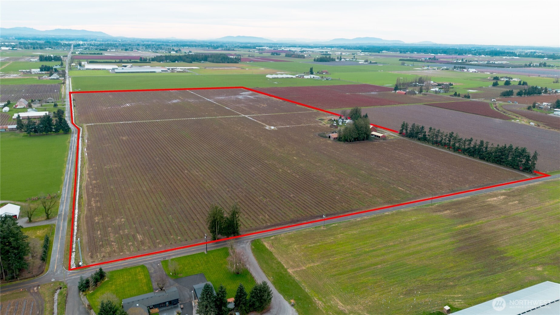 603 Visser Road Lynden, WA 98264 - Photo 4 of 22