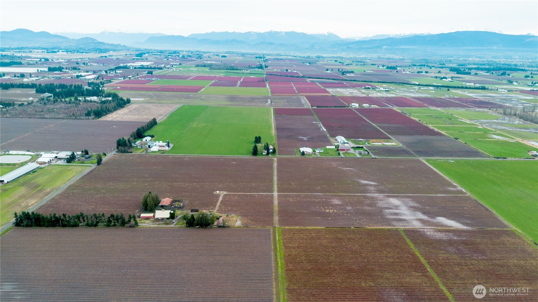 603 Visser Road Lynden, WA 98264 - Photo 6 of 22