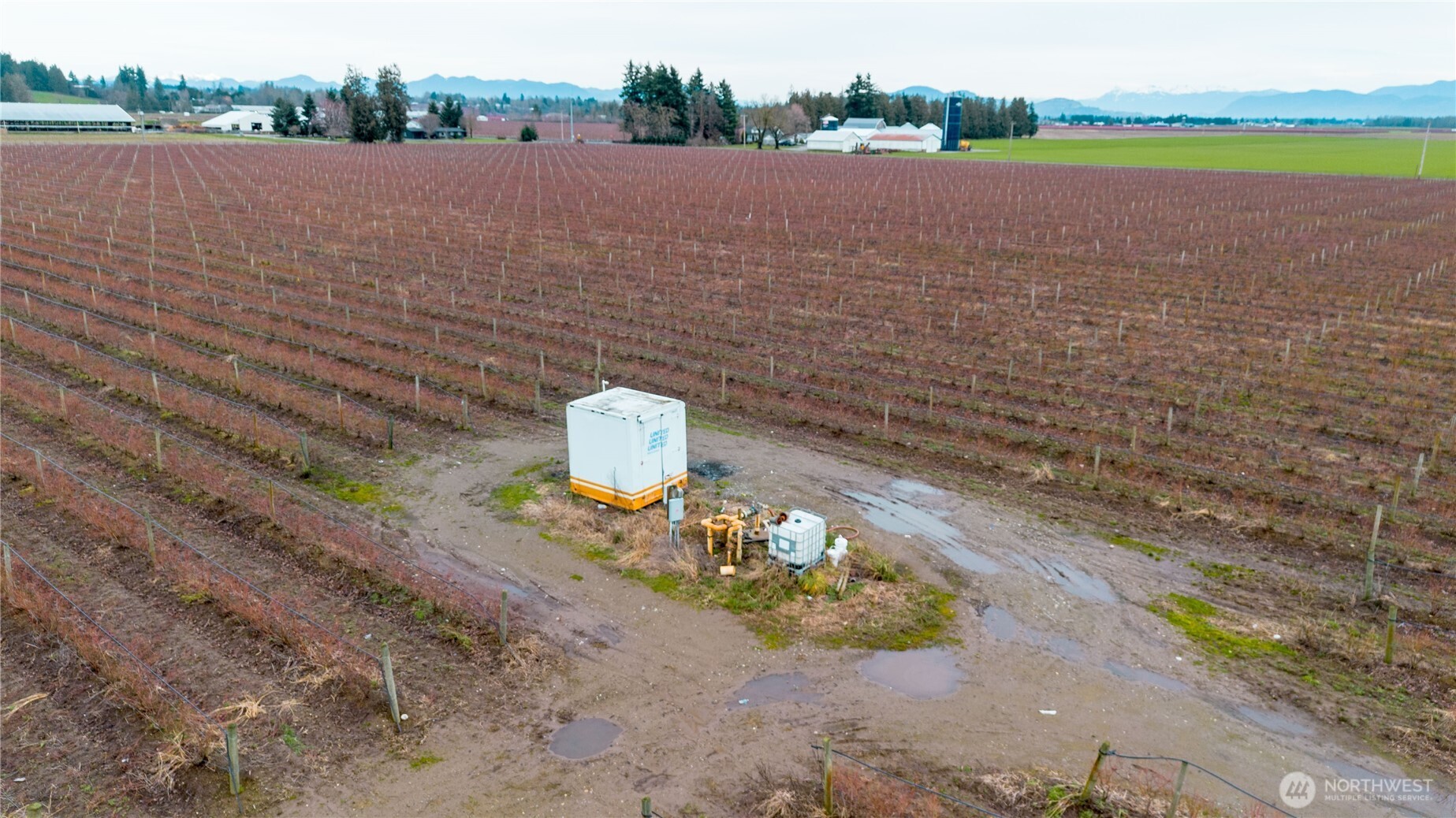 603 Visser Road Lynden, WA 98264 - Photo 8 of 22