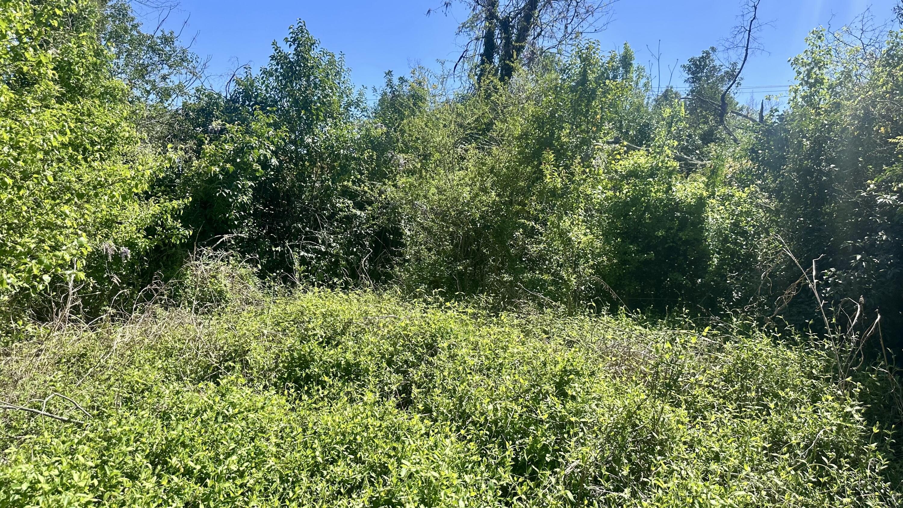 1104 Swans Lane Augusta, GA 30901 - Photo 2 of 3 IMG_7910