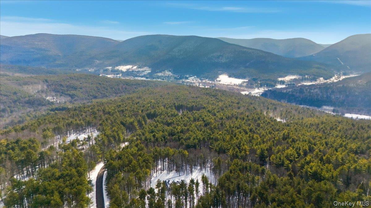 196 Fawn Hill Road Prattsville, NY 12468 - Photo 11 of 45 a view of a city with a mountain