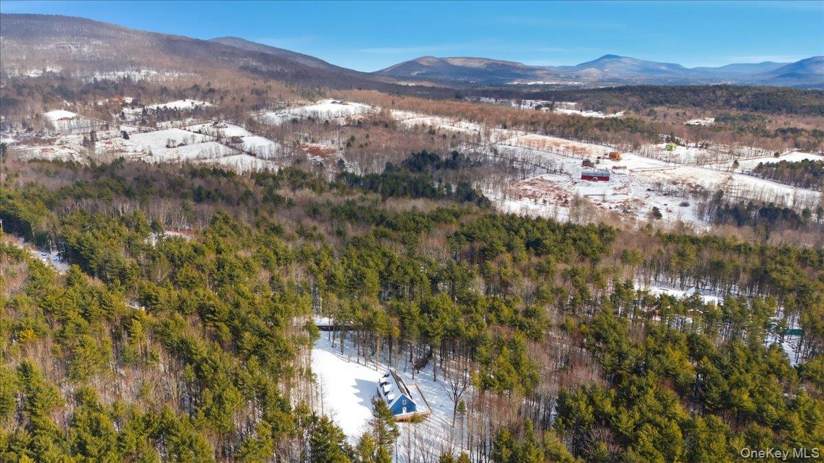 196 Fawn Hill Road Prattsville, NY 12468 - Photo 11 of 48