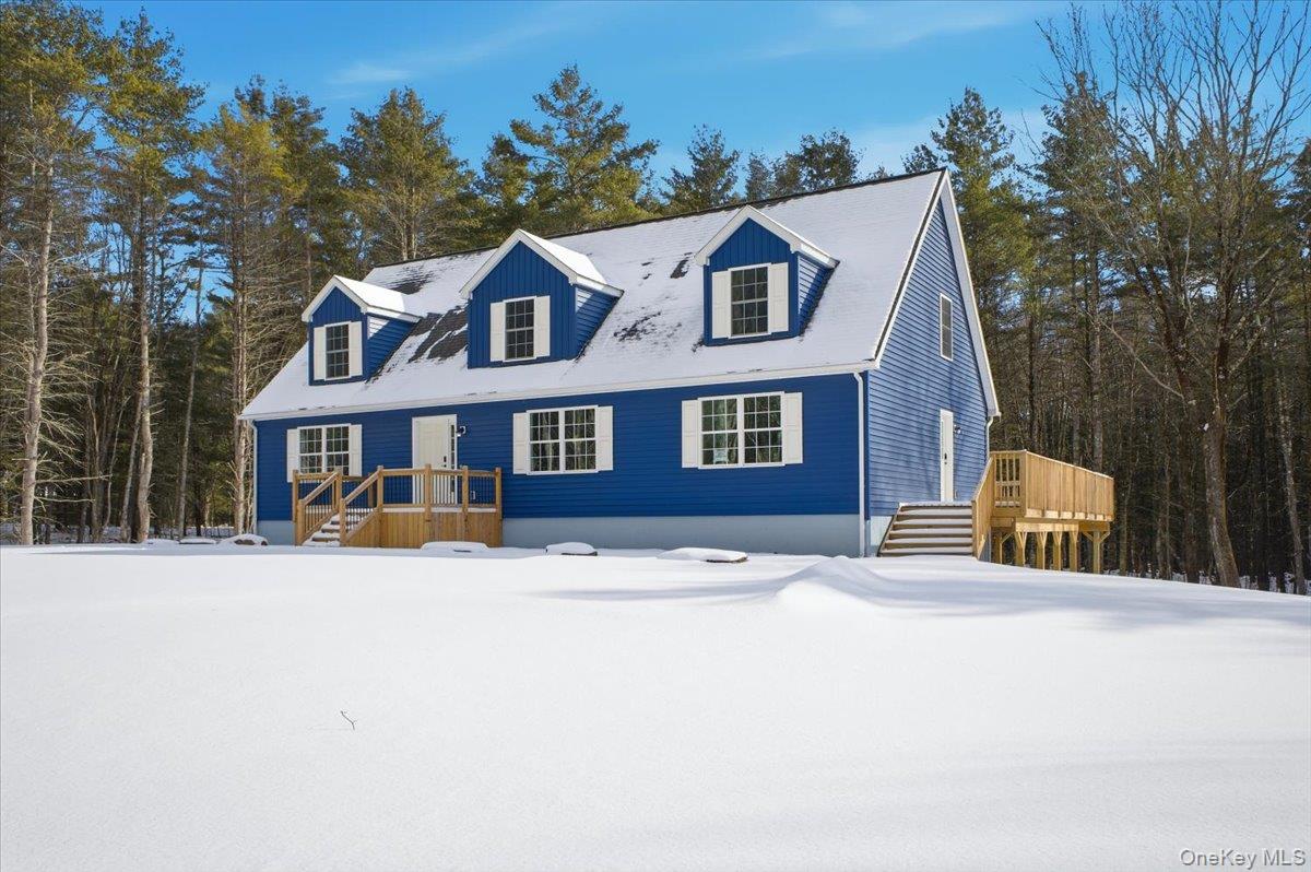 196 Fawn Hill Road Prattsville, NY 12468 - Photo 41 of 45 a front view of a house with a yard covered with snow in the background