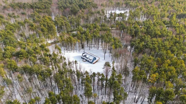 a close up of a plant in a garden