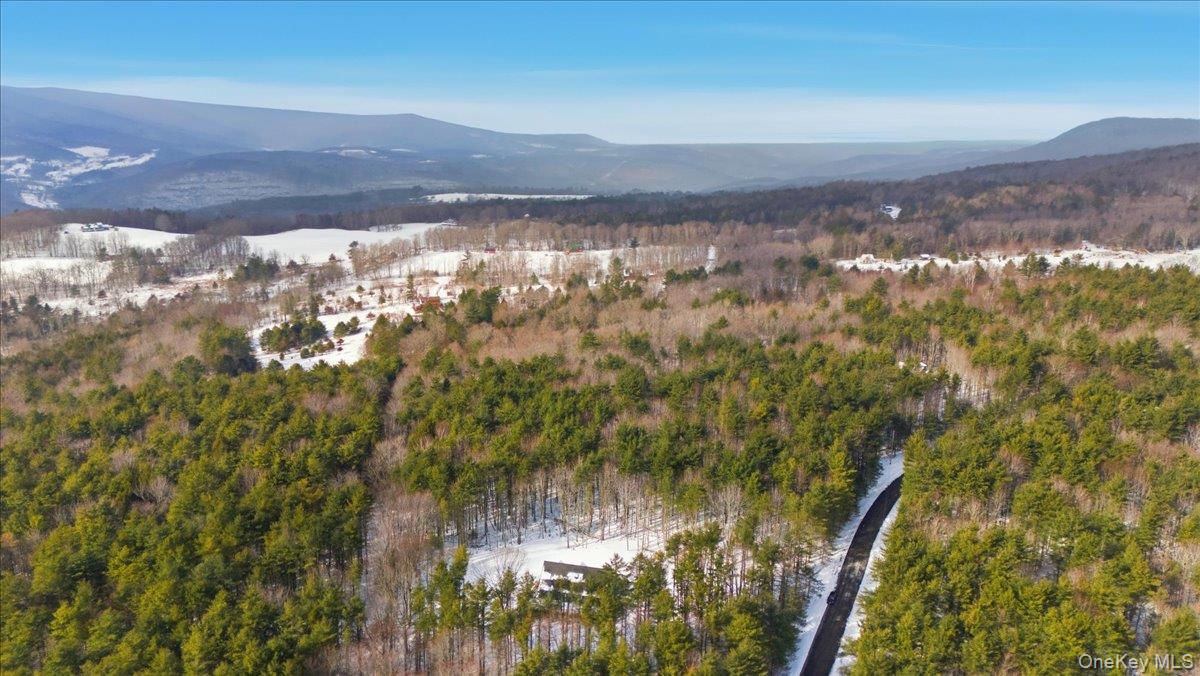 196 Fawn Hill Road Prattsville, NY 12468 - Photo 10 of 45 a view of lake and mountain