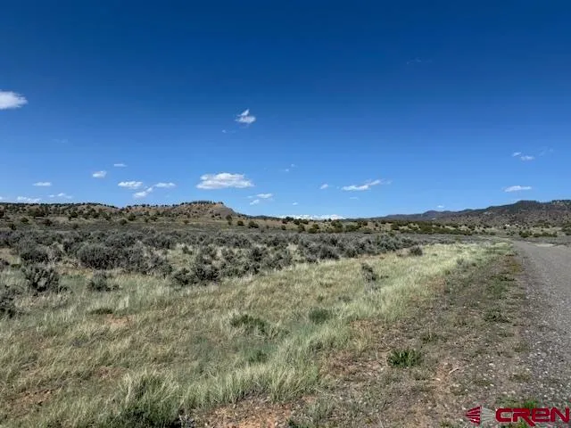 a view of a dry yard with mountains in the background