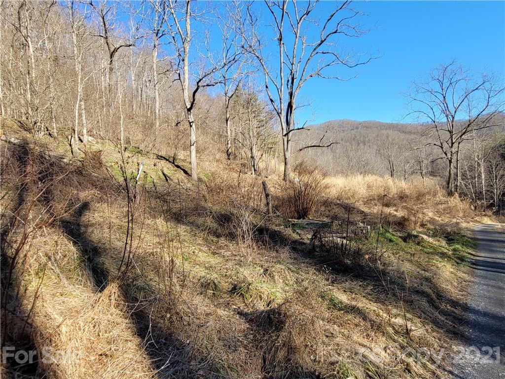 226 Dan Branch Road Marshall, NC 28753 - Photo 11 of 19 Gallery Image 11