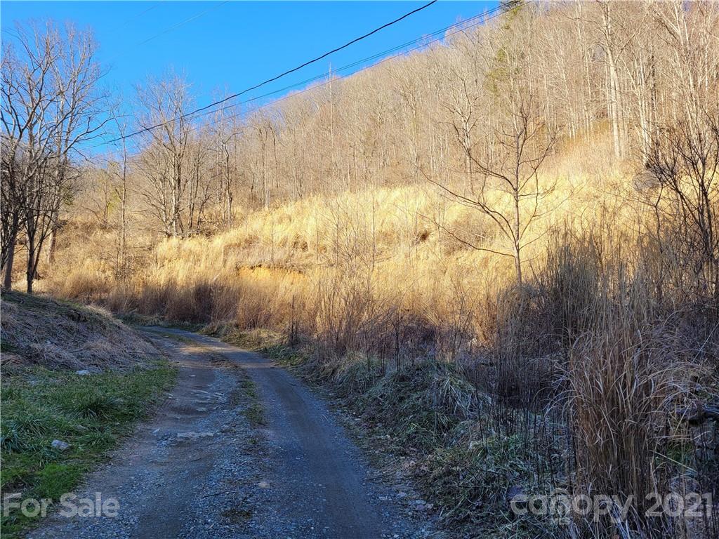226 Dan Branch Road Marshall, NC 28753 - Photo 14 of 19 Gallery Image 14