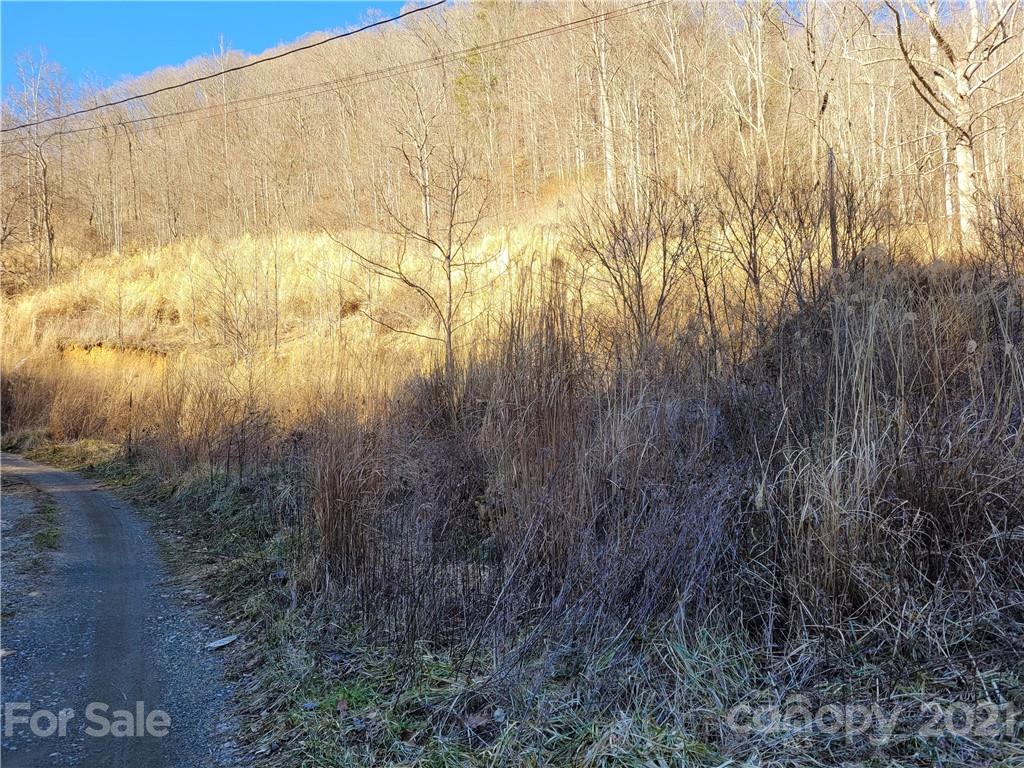226 Dan Branch Road Marshall, NC 28753 - Photo 15 of 19 Gallery Image 15