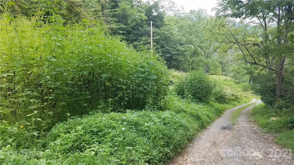 226 Dan Branch Road Marshall, NC 28753 - Photo 6 of 19 Gallery Image 6