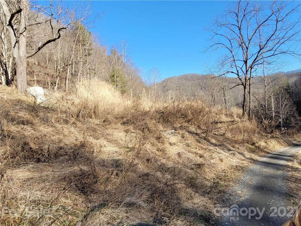 226 Dan Branch Road Marshall, NC 28753 - Photo 10 of 19 Gallery Image 10