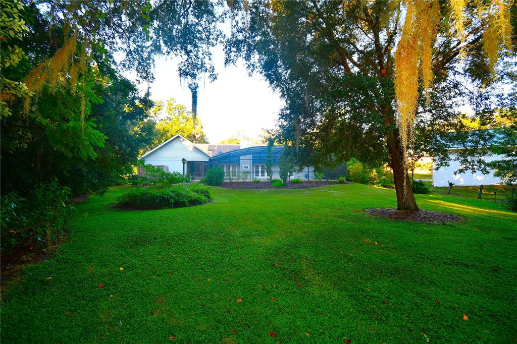 611 Old Eustis Road Mount Dora, FL 32757 - Photo 41 of 45 a view of yard with swimming pool and green space