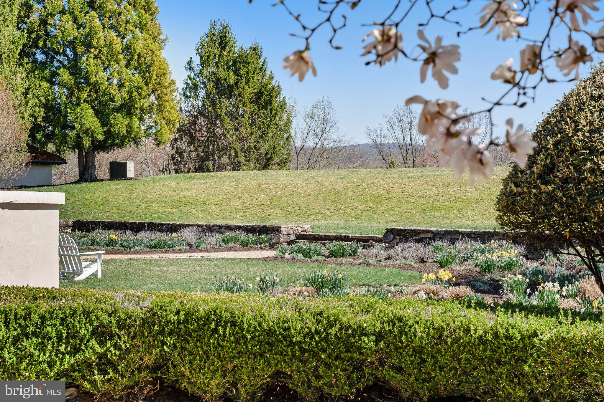 2547 Halfway Road The Plains, VA 20198 - Photo 74 of 90 a view of a yard with plants