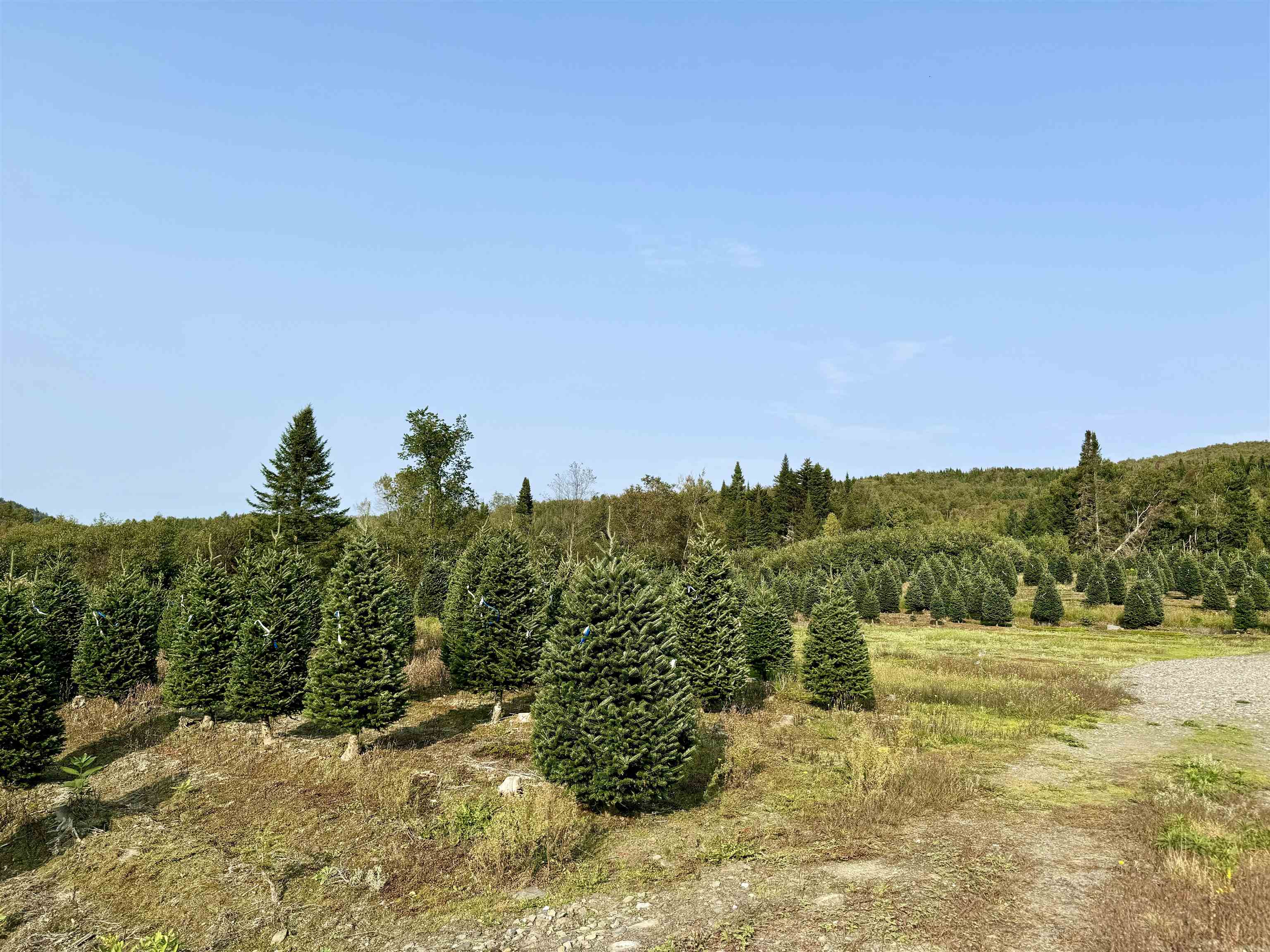 92 Bishop Brook Road Stewartstown, NH 03576 - Photo 49 of 51